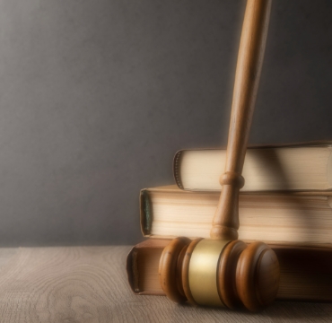 Law and humanities pathway illustration from UFP